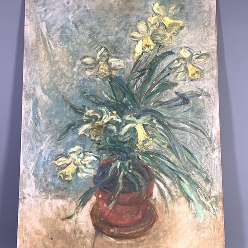 277 - A mid 20th century Stella Steyn (1907-1987) unframed oil on board of a daffodil still life scene bea... 