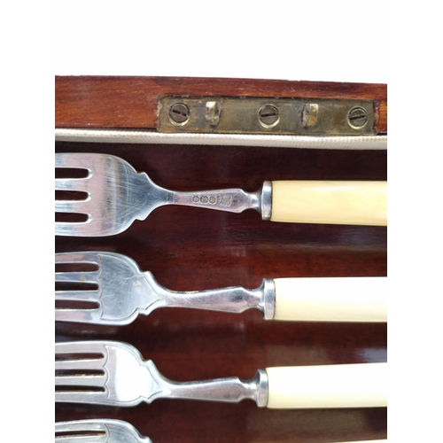 1039 - A Finnigans mahogany cutlery case containing twelve hallmarked Sheffield silver fish knives and fork... 