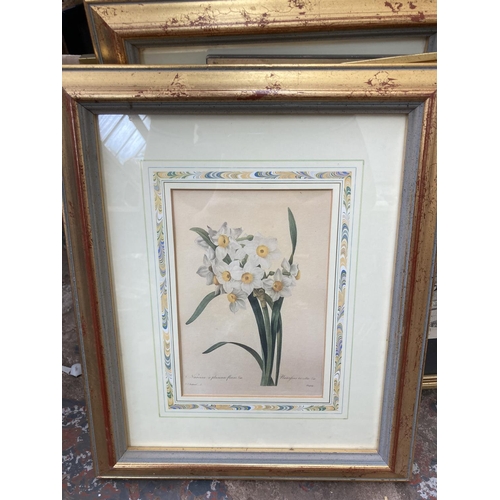 562 - A large collection of framed pictures to include antique Narcisse A Plusieurs Fleurs Var The Fairest... 