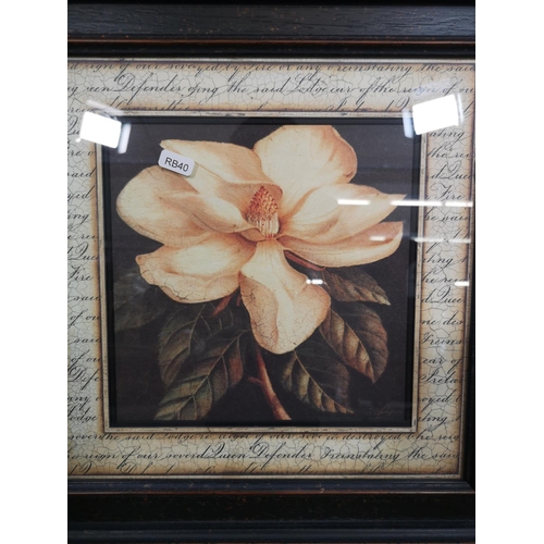 173 - Two C. P. Framed Products Connoisseur collection petite floral prints - approx. 46cm high x 46cm wid... 