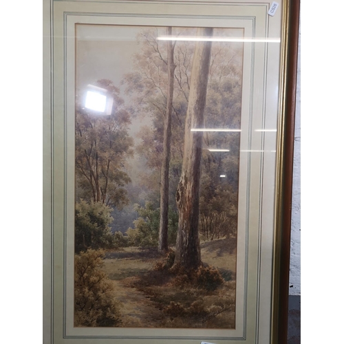 179 - A framed watercolour of a woodland scene signed lower right N. W. Cayley - approx. 80cm high x 51cm ... 