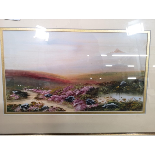 202 - A framed watercolour of a landscape scene signed lower left - approx. 50cm wide x 36cm high