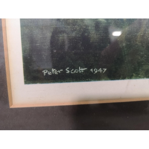 204 - A framed Peter Scott pencil signed print - approx. 66cm wide x 60cm high