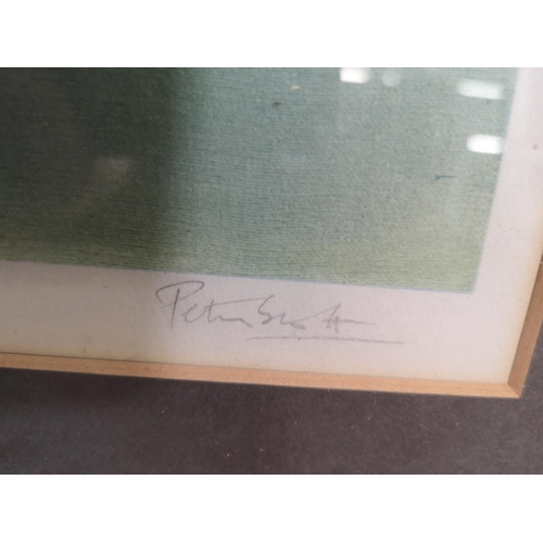 204 - A framed Peter Scott pencil signed print - approx. 66cm wide x 60cm high