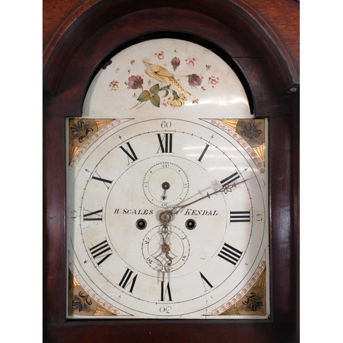 96 - A 19th century W. Scales of Kendal mahogany cased grandfather clock with pendulum, key and two weigh... 