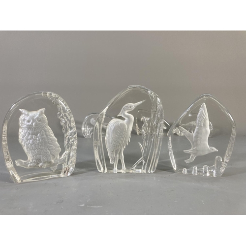 52 - Twelve Wedgwood Crystal bird glass paperweights