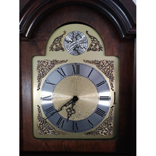 1016 - A mahogany cased Grandfather clock with Tempus Fugit face, pendulum and three weights - approx. 195c... 