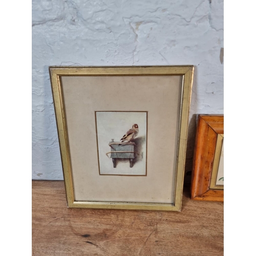 1206 - Three framed pictures, 19th century style portrait print approx. 36cm x 31cm, watercolour of a yello... 