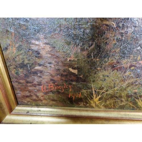 1214 - A pair of early 20th century gilt framed oil paintings of landscape scenes by H. Bingley, dated 1901... 