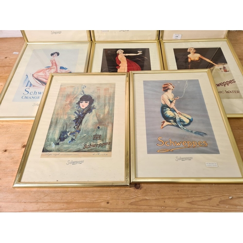 1209 - Eight framed Schweppes advertising prints - approx. 44cm high x 32cm wide