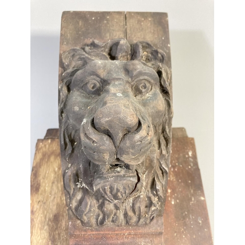 859 - A 19th century carved mahogany lion face furniture bracket - approx. 31cm high x 23cm wide