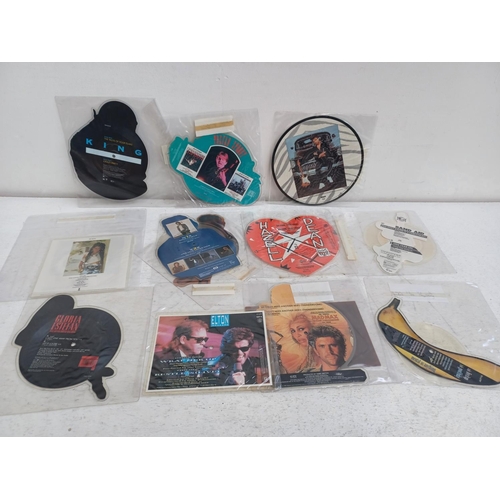 1363 - A collection of shaped picture discs - see images for titles