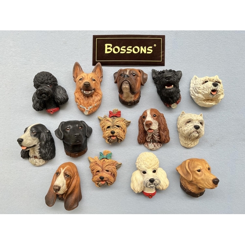106 - Fourteen Bossons hand painted chalkware dog head wall plaques to include Alsatian, Boxer, Basset Hou... 