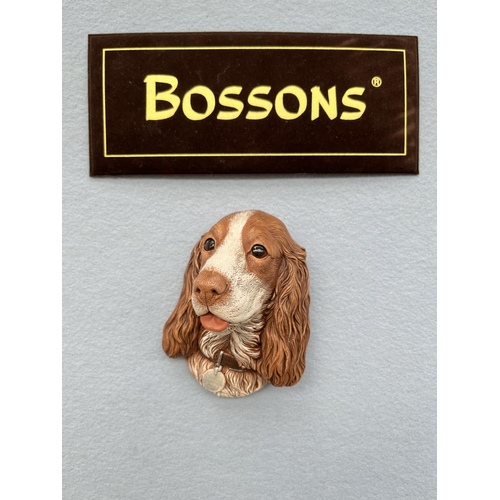 143 - Ten boxed Bossons Liver & White Spaniel hand painted chalkware head wall plaques