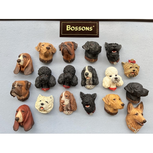 73 - Eighteen Bossons hand painted chalkware dog head wall plaques to include Scottie, Poodle, Golden Lab... 