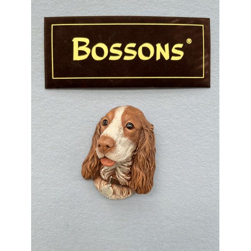 144 - Ten boxed Bossons Liver & White Spaniel hand painted chalkware head wall plaques