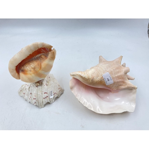 303 - Two decorative conch shells adapted for lighting purposes