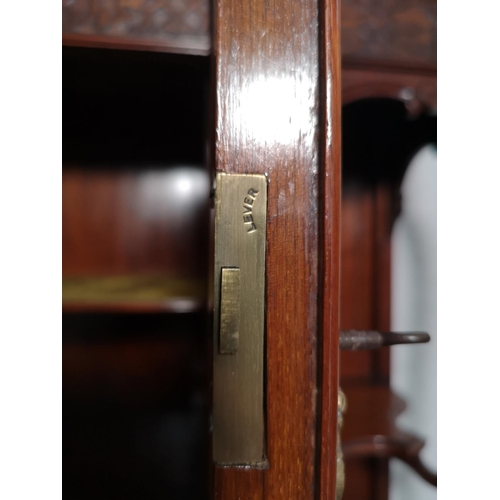 427 - A late Victorian/Edwardian mahogany display cabinet with two central glazed doors, four outer shelve... 