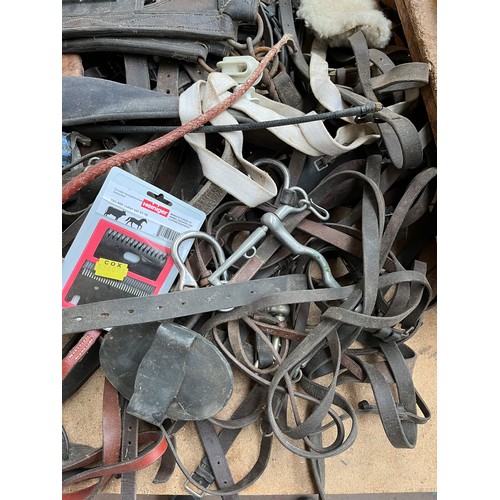 625A - A large quantity of vintage horse tack