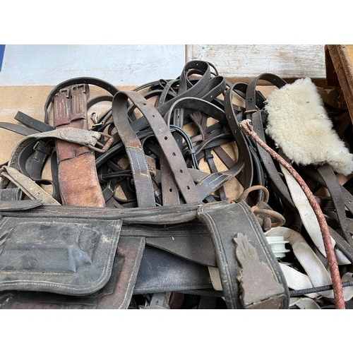 625A - A large quantity of vintage horse tack