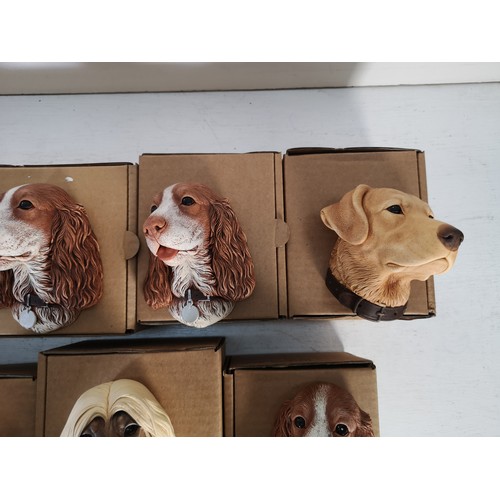 149 - Thirteen Bossons hand painted chalkware dog head wall plaques to include Afghan, Cocker Spaniel, Gol... 