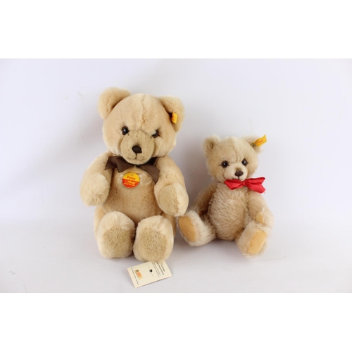 81 - Two Steiff Petsy teddy bears, 012280 and 0224/28