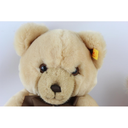 81 - Two Steiff Petsy teddy bears, 012280 and 0224/28