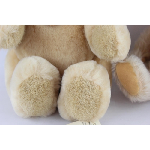 81 - Two Steiff Petsy teddy bears, 012280 and 0224/28