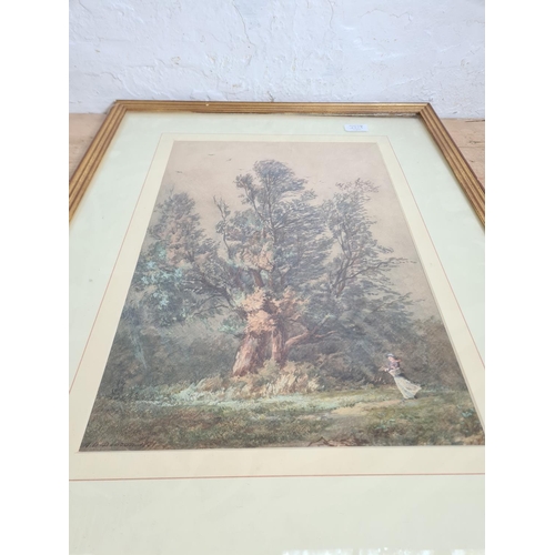 440A - A 19th century framed watercolour signed lower left A. D. Deacon - approx. 75cm high x 56cm wide