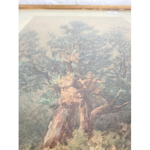 440A - A 19th century framed watercolour signed lower left A. D. Deacon - approx. 75cm high x 56cm wide