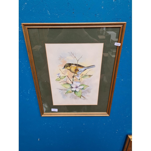 452 - A framed watercolour of a botanical bird scene signed lower right - approx. 54cm high x 44cm wide