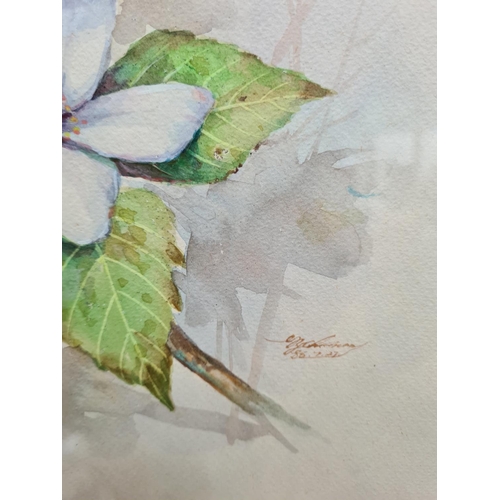 452 - A framed watercolour of a botanical bird scene signed lower right - approx. 54cm high x 44cm wide