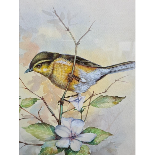 452 - A framed watercolour of a botanical bird scene signed lower right - approx. 54cm high x 44cm wide