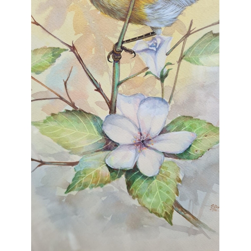 452 - A framed watercolour of a botanical bird scene signed lower right - approx. 54cm high x 44cm wide