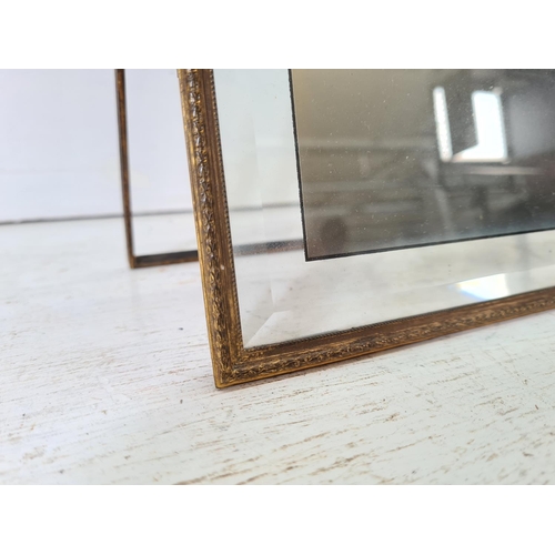 218 - An early 20th century brass and bevelled glass photo frame - approx. 37.5cm high x 27.5cm wide