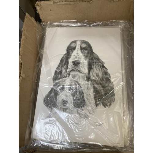 781 - A box containing approx. 550 prints of dogs to include Rough Collie, Rottweiler, Poodle, Red Setter,... 