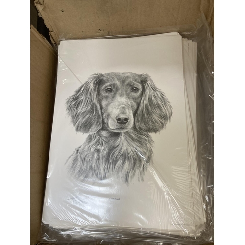 781 - A box containing approx. 550 prints of dogs to include Rough Collie, Rottweiler, Poodle, Red Setter,... 