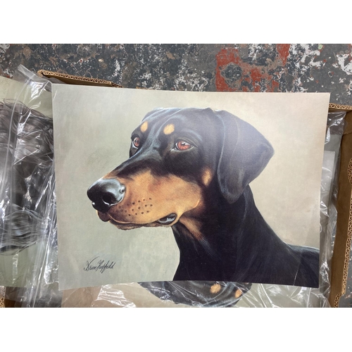 782 - A box containing approx. 400 colour prints of dogs to include Doberman, Show Cocker Spaniel, Yorkshi... 