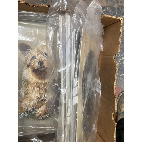 782 - A box containing approx. 400 colour prints of dogs to include Doberman, Show Cocker Spaniel, Yorkshi... 