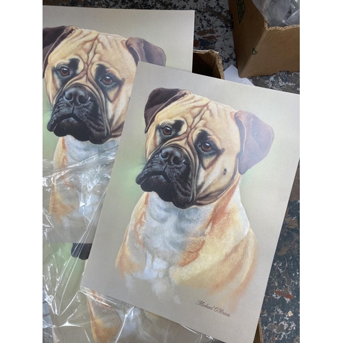 783 - A box containing approx. 400 colour prints of dogs to include Boxer, Poodle, Schnauzer, Show Cocker ... 