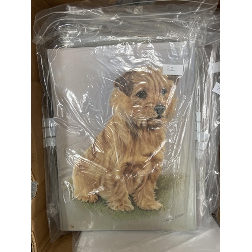 783 - A box containing approx. 400 colour prints of dogs to include Boxer, Poodle, Schnauzer, Show Cocker ... 