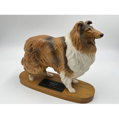 12 - A Beswick Collie (Rough) Connoisseur model on wooden plinth - approx. 20cm high x 24cm wide