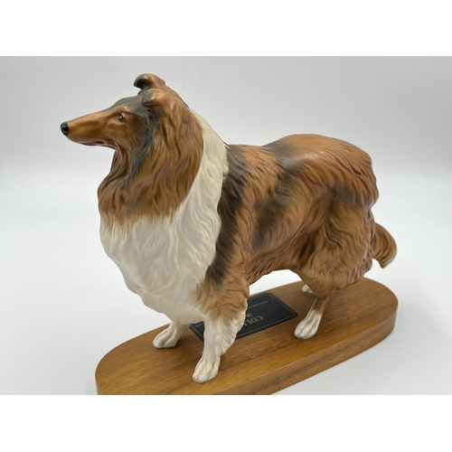 12 - A Beswick Collie (Rough) Connoisseur model on wooden plinth - approx. 20cm high x 24cm wide