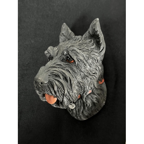 159 - Six Bossons chalkware dog head wall masks comprising Corgi, Scottie, Pekingese, Dachshund, White Poo... 