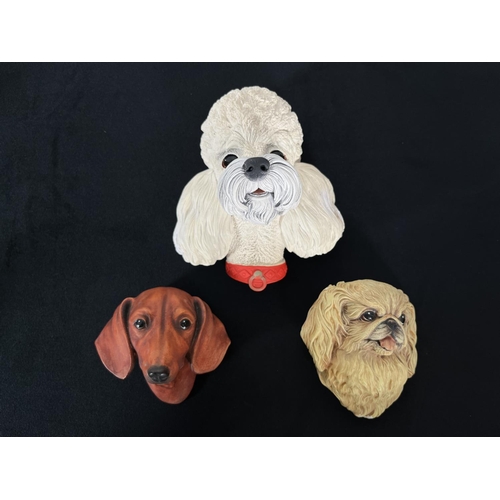 162 - Nine Bossons chalkware dog head wall masks to include Afghan Hound, Alsatian, Boxer, Spaniel, Fox Te... 