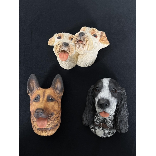 162 - Nine Bossons chalkware dog head wall masks to include Afghan Hound, Alsatian, Boxer, Spaniel, Fox Te... 