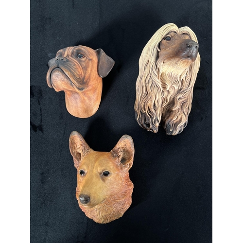 162 - Nine Bossons chalkware dog head wall masks to include Afghan Hound, Alsatian, Boxer, Spaniel, Fox Te... 