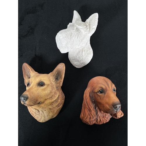 203 - Six Bossons miniature chalkware dog head wall masks to include Corgi, Black Poodle, Spaniel, Scottie... 