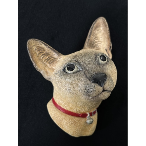 206 - A 1988 Bossons Siamese Cat (one of only two special painted versions) chalkware cat head wall plaque... 