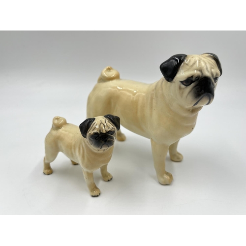 1170 - Two Beswick pug figurines, one being CH. Cutmil Cupie